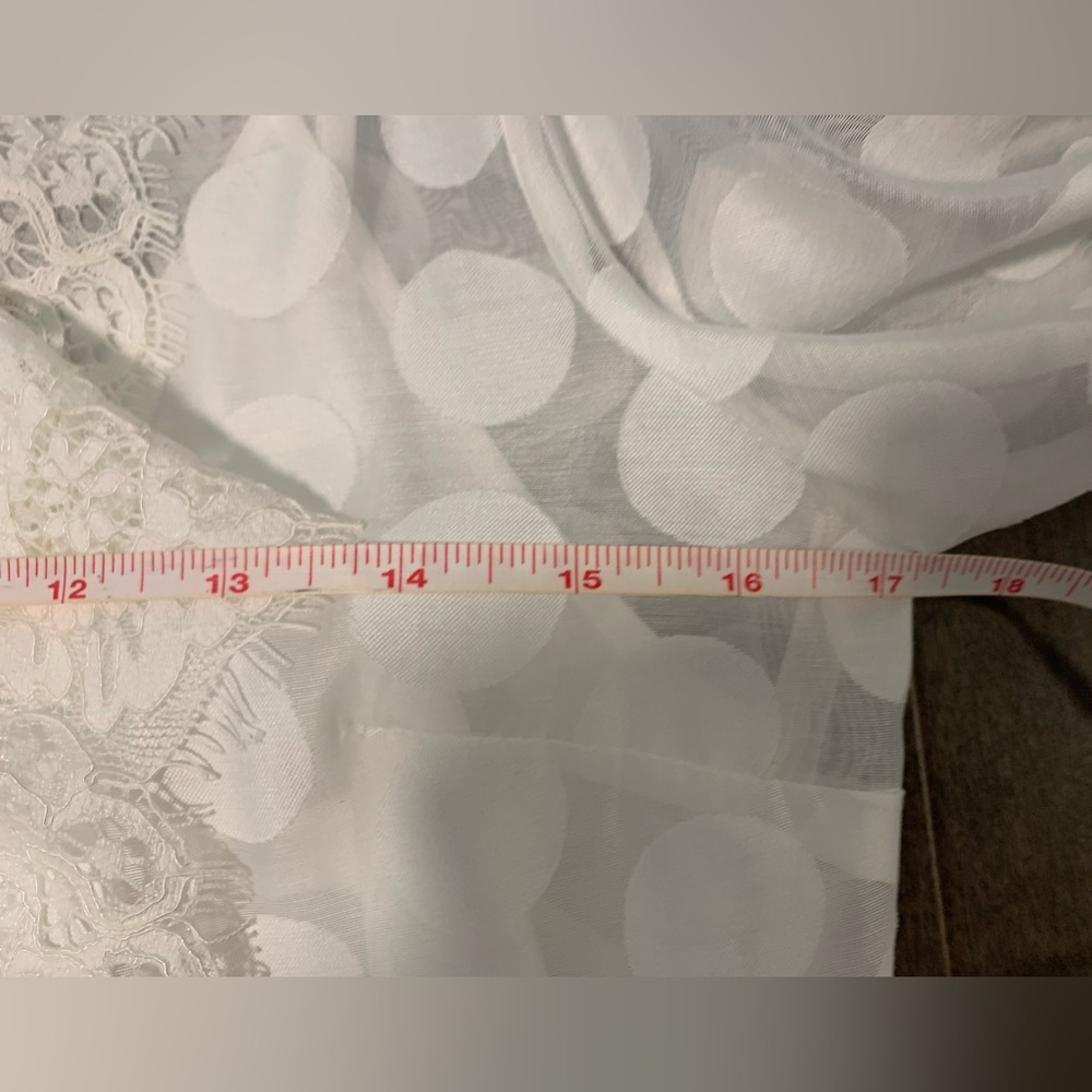 Keepsake Sheer Ruffle Blouse - Picture 12 of 15